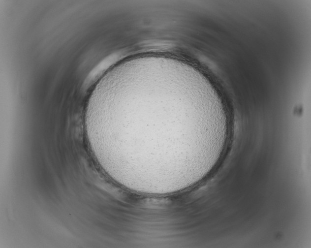 X0000113961354200910232020