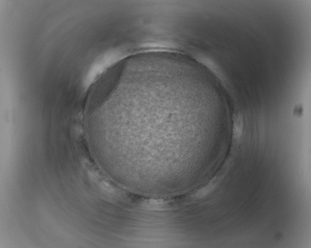 X0000113961357200910232020