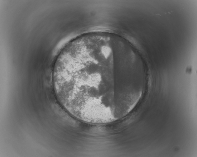 X0000113961358200910232020