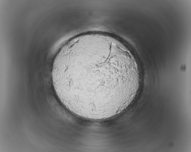 X0000113961359200910232020