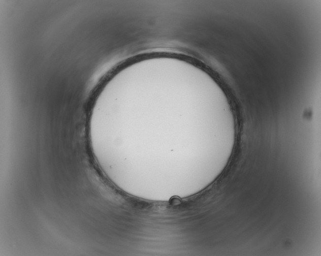 X0000113961360200910232020