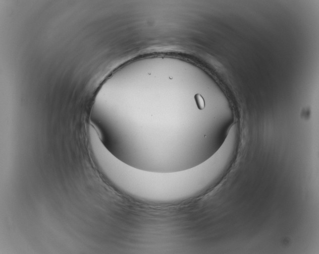 X0000113961361200910232020