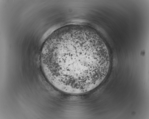 X0000113961362200910232020