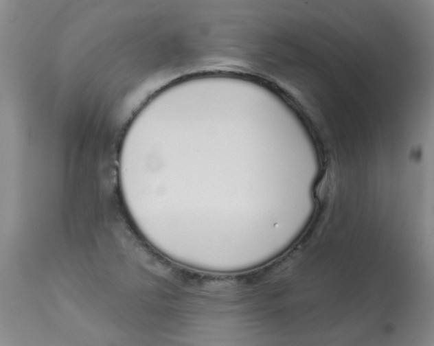 X0000113961363200910232020