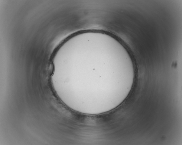 X0000113961364200910232020