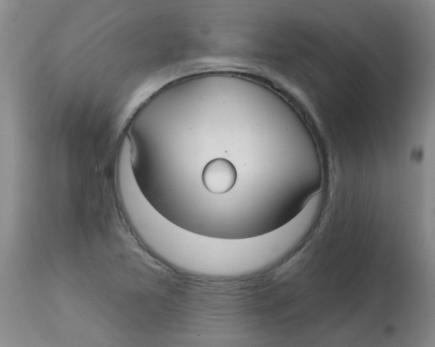 X0000113961365200910232020