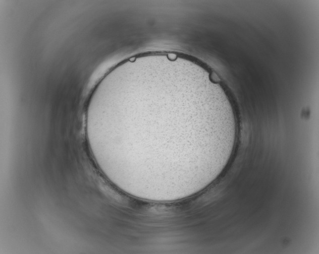 X0000113961366200910232020