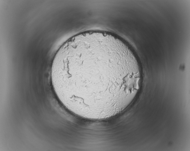 X0000113961367200910232019