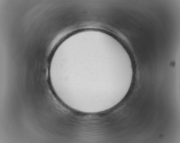 X0000113961368200910232019