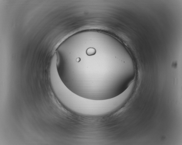 X0000113961369200910232019