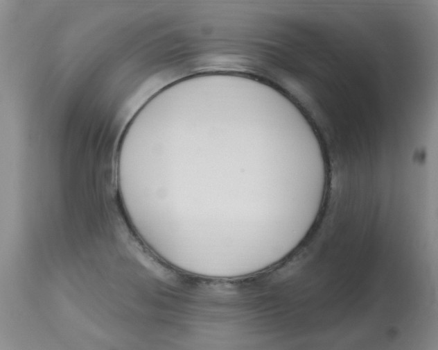 X0000113961370200910232019