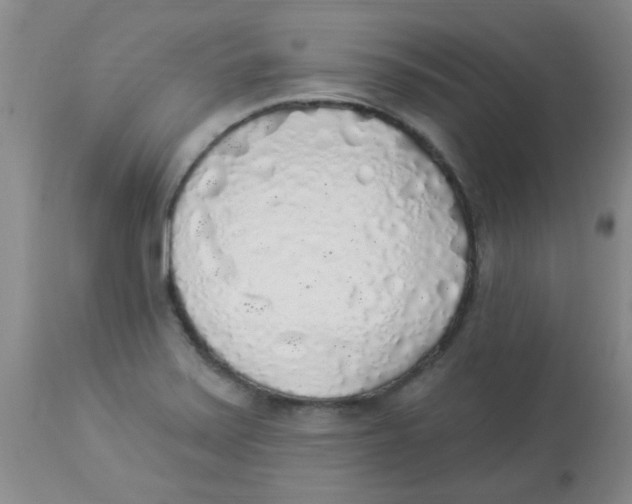 X0000113961371200910232019