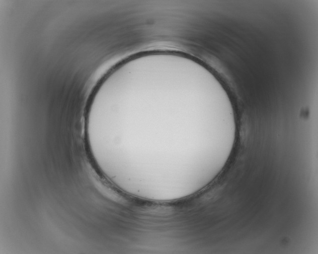 X0000113961372200910232019