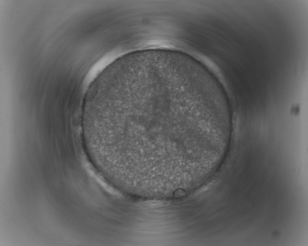 X0000113961373200910232019