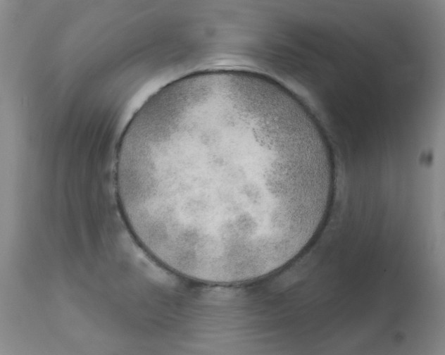 X0000113961374200910232019