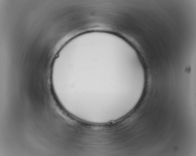 X0000113961375200910232019