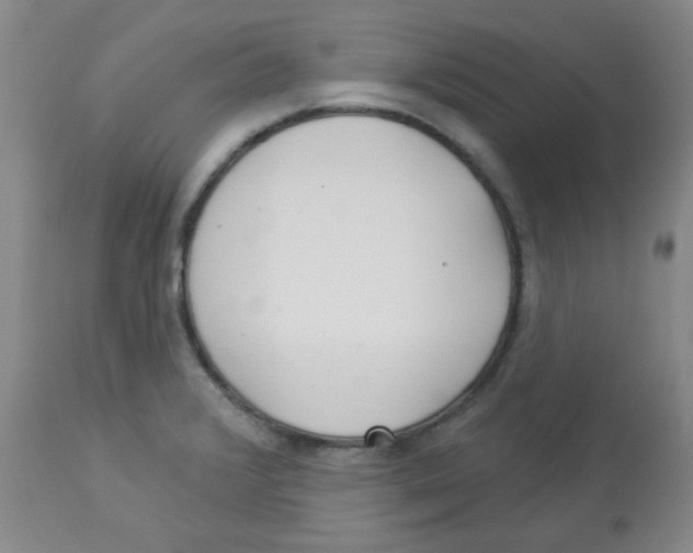 X0000113961376200910232019