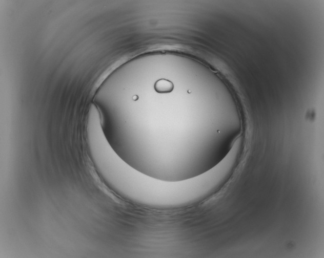 X0000113961377200910232019