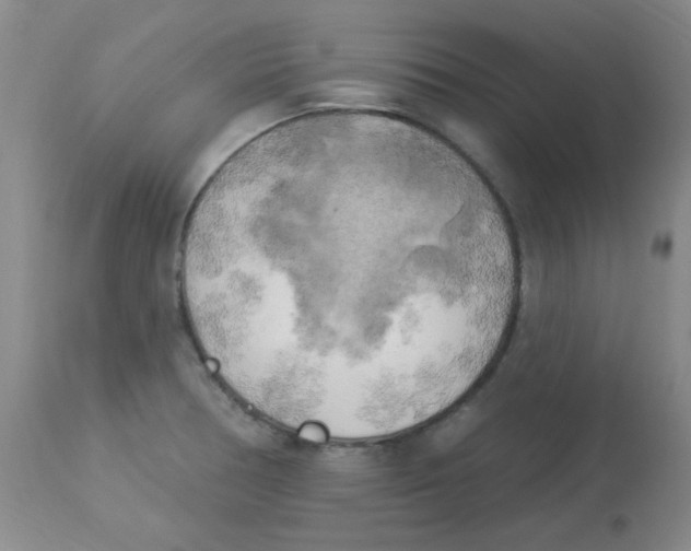 X0000113961378200910232019