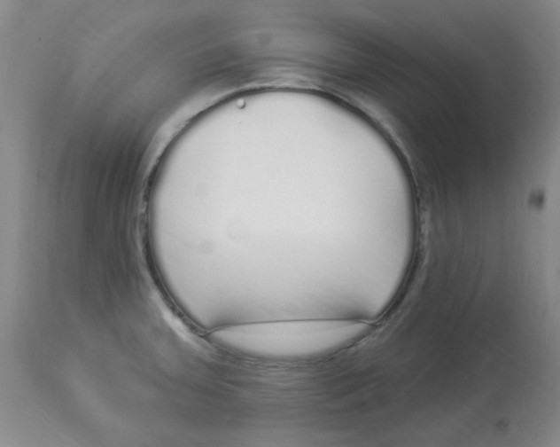 X0000113961379200910232019