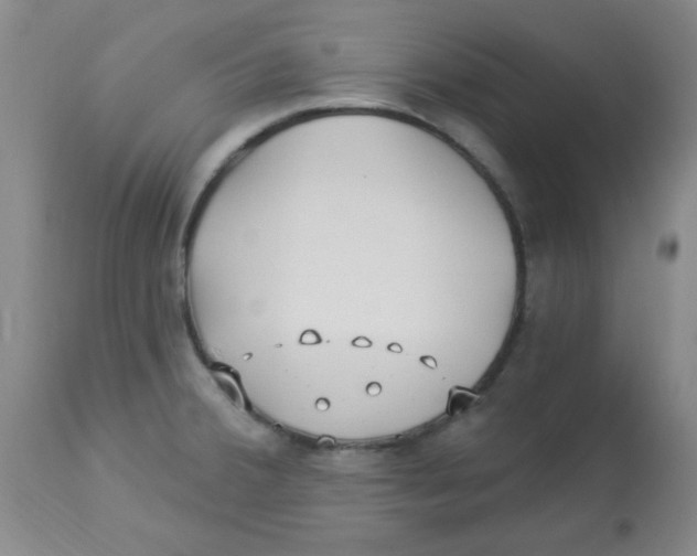 X0000113961380200910232019