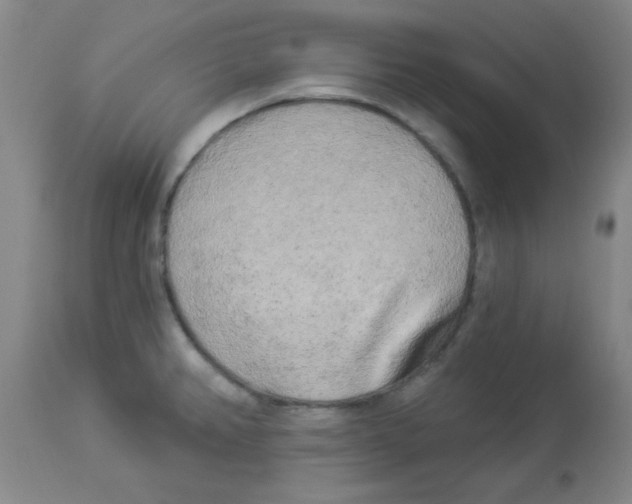 X0000113961382200910232019