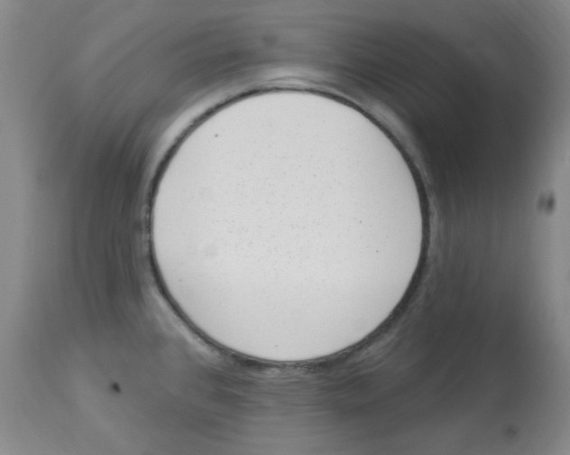 X0000113961384200910232019