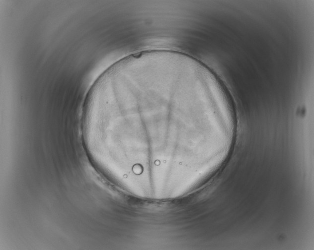 X0000113961386200910232019