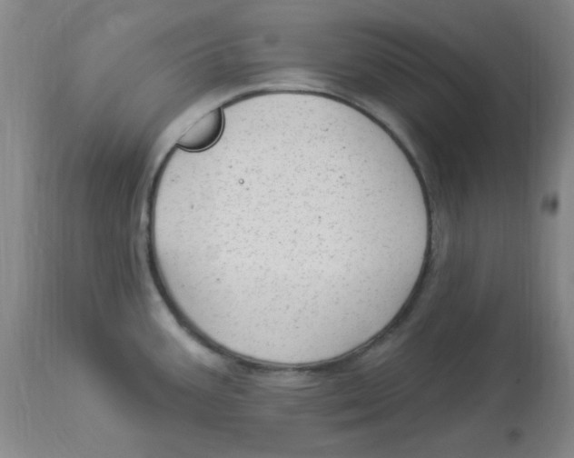 X0000113961387200910232019