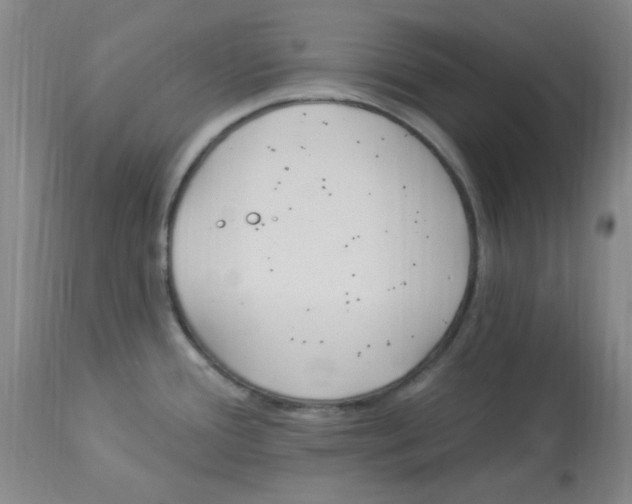 X0000113961388200910232019