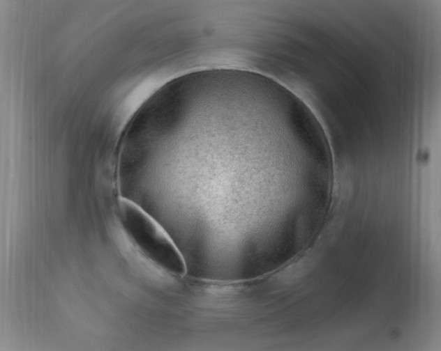 X0000113961389200910232019