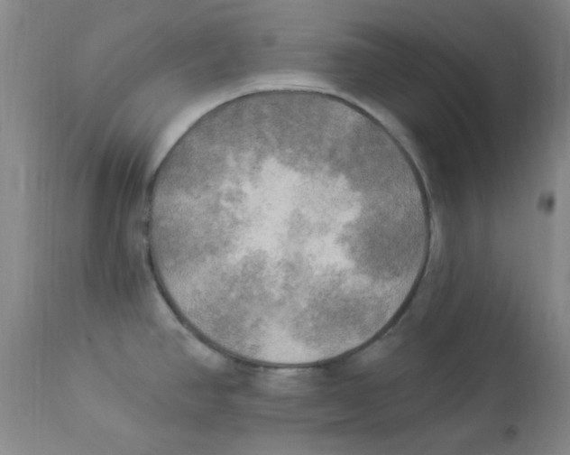 X0000113961390200910232019