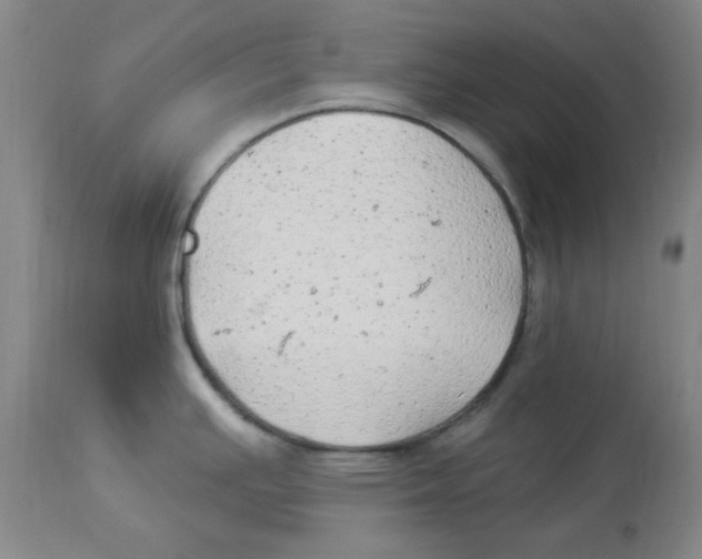 X0000113961391200910232019