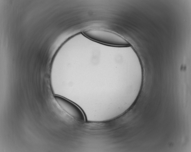 X0000113961392200910232019