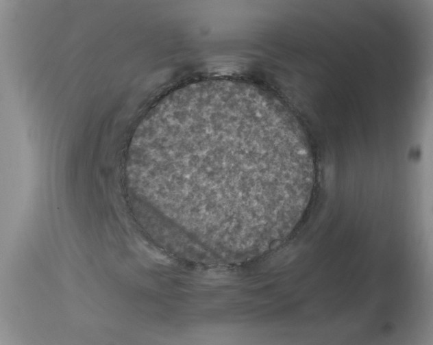 X0000113961393200910232018