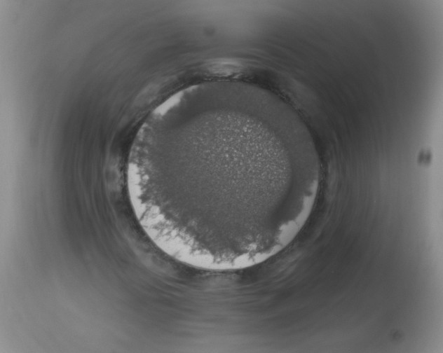 X0000113961394200910232018