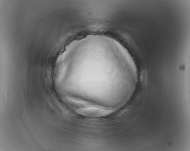 X0000113961396200910232018