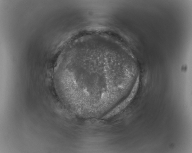 X0000113961397200910232018