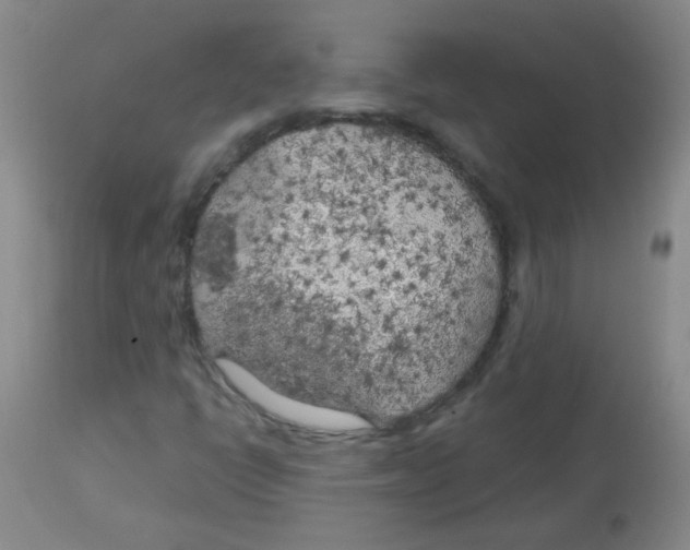 X0000113961398200910232018