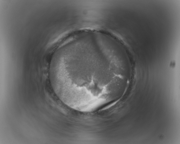 X0000113961399200910232018