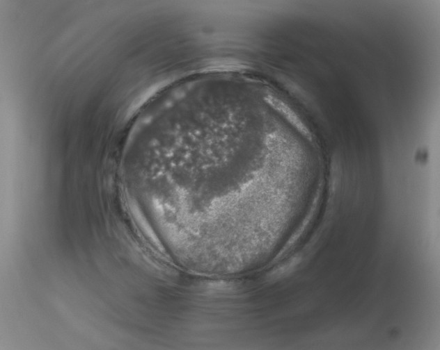 X0000113961401200910232018