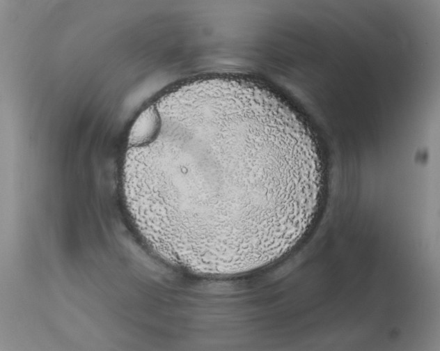 X0000113961402200910232018