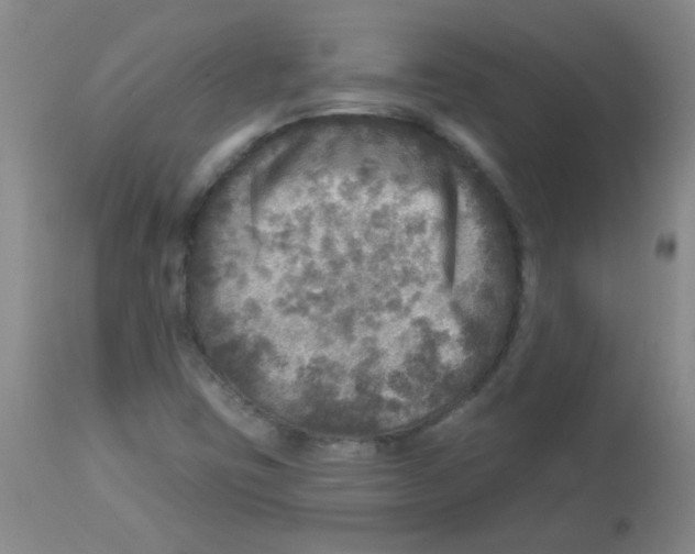 X0000113961403200910232018