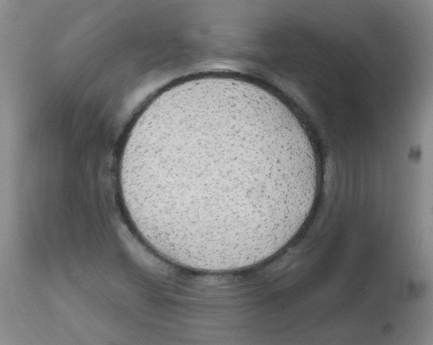 X0000113961404200910232018