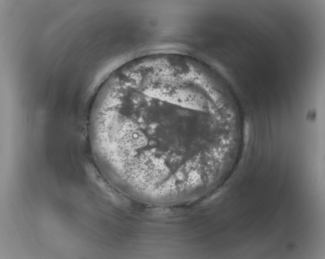 X0000113961405200910232018