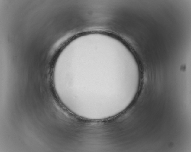 X0000113961406200910232018