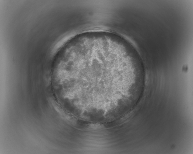 X0000113961407200910232019