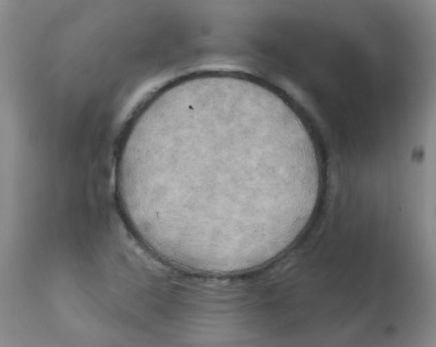 X0000113961408200910232019