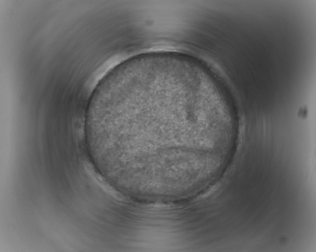 X0000113961409200910232019