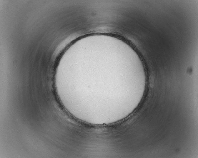 X0000113961410200910232019